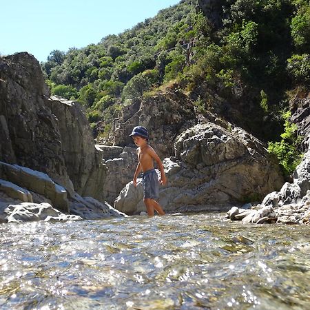 La Frigoule, Un Gite Au Coeur Du Parc Des Cevennes Generargues Exterior foto
