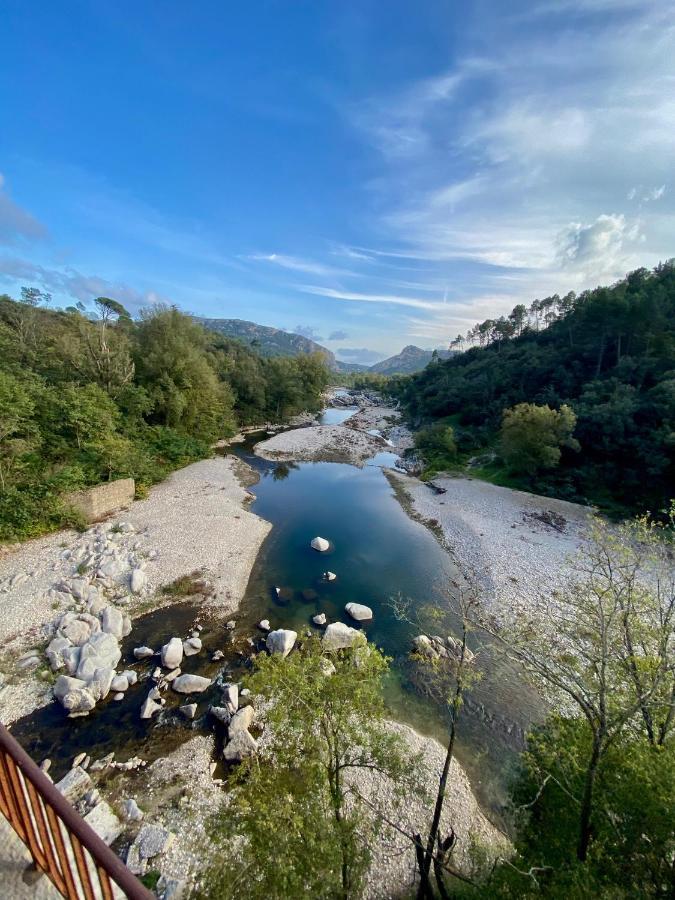 La Frigoule, Un Gite Au Coeur Du Parc Des Cevennes Generargues Exterior foto
