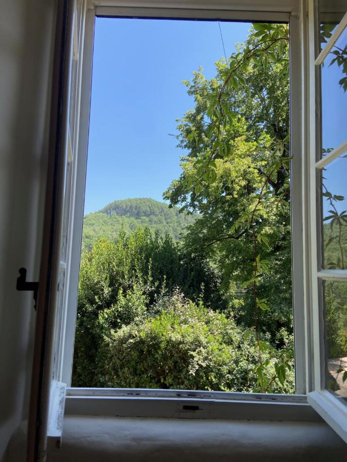 La Frigoule, Un Gite Au Coeur Du Parc Des Cevennes Generargues Exterior foto